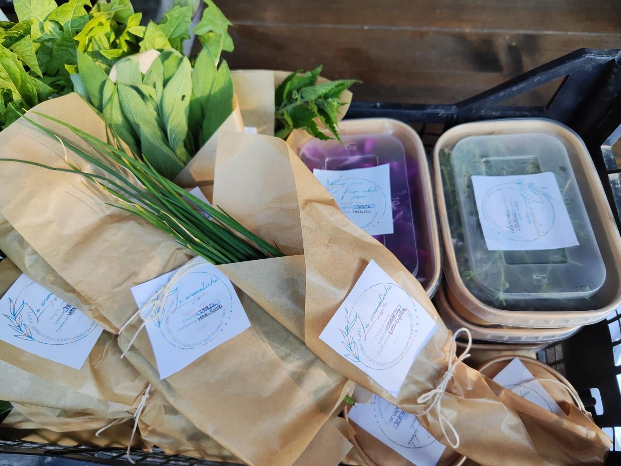 Lieve Agriglamping Experience Luxe tent *