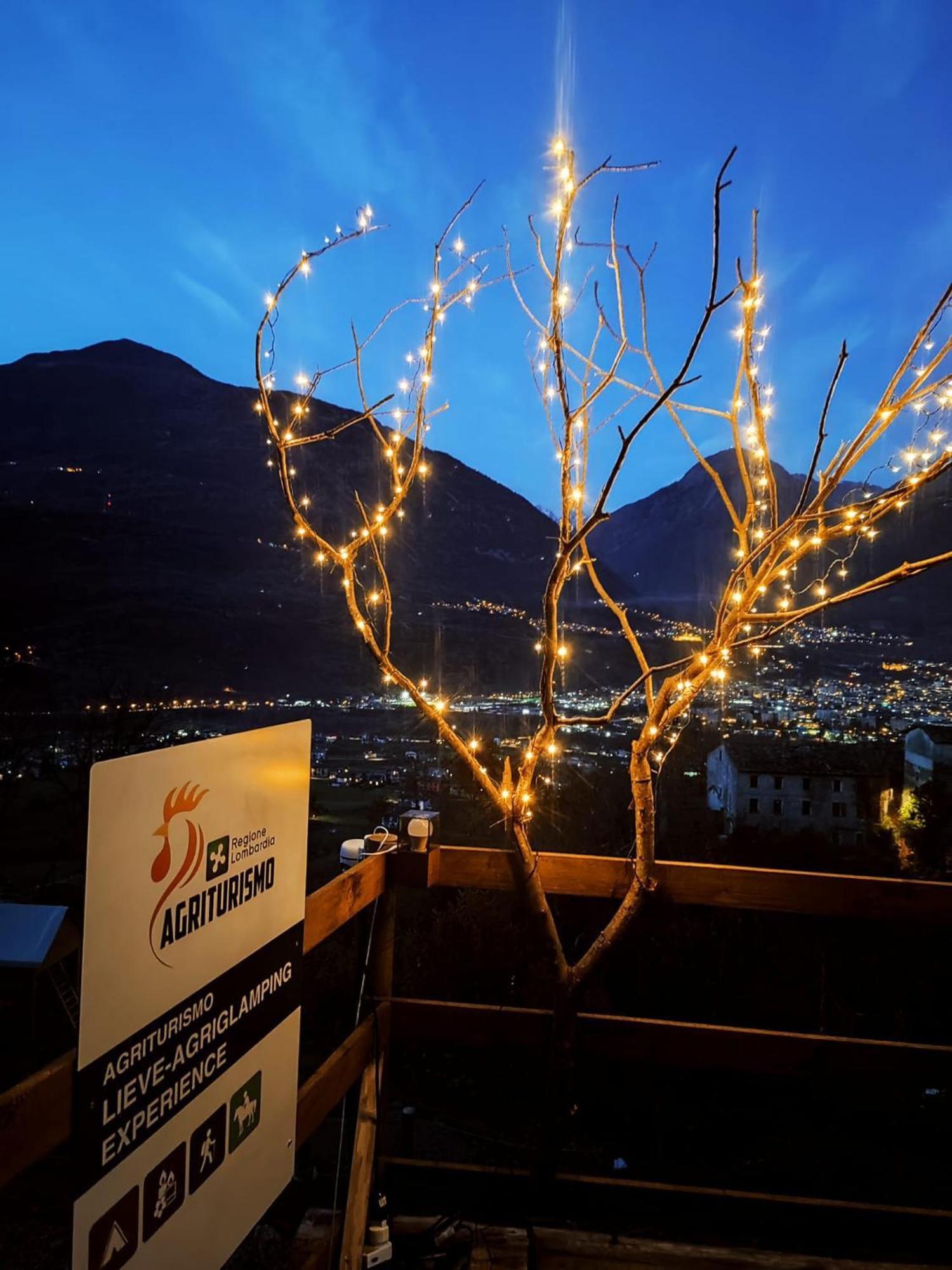 Luxe tent Lieve Agriglamping Experience